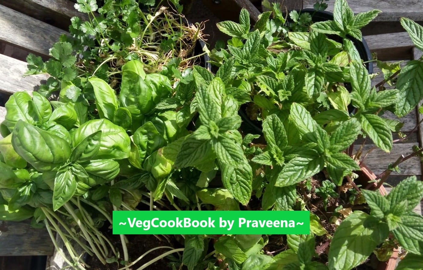 Recipes with GREENS