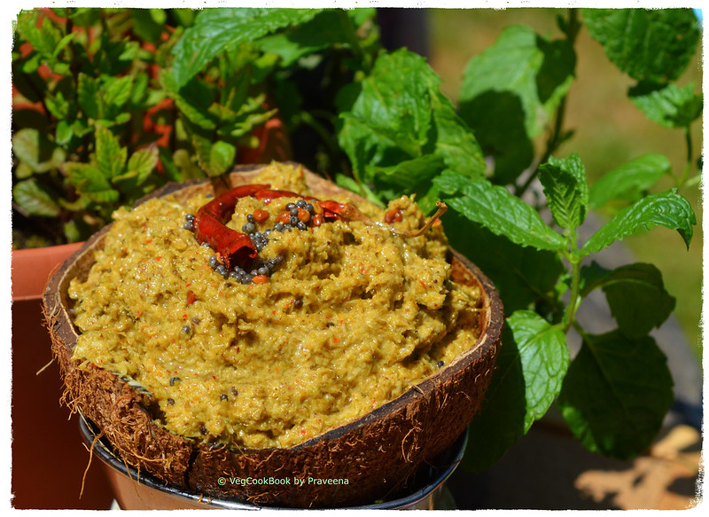 Mint Coconut Chutney / Pudina Kobbari Pachadi